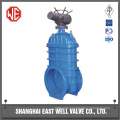 Gate valves wedge